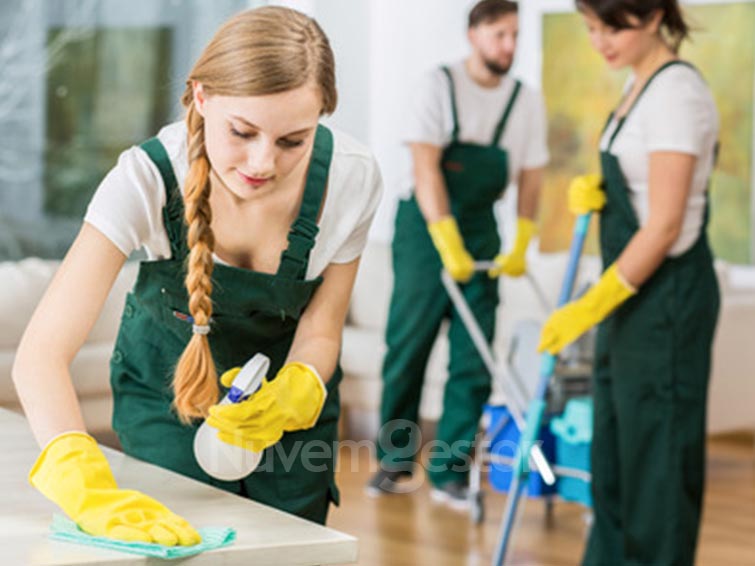 Software Limpeza Profissional e Serviços Domésticos